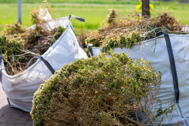 Basement Cleanout Services in San Ramon, CA